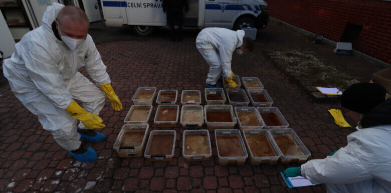 Large-scale Crackdown on Synthetic Drugs: 24 Labs Dismantled and Massive Quantities of Chemicals Seized
